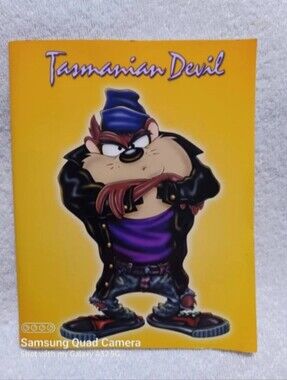Vintage Looney tunes Tasmanian Devil on Scottish notebook